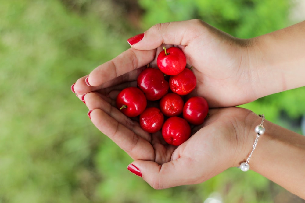 rote Beeren an den Händen