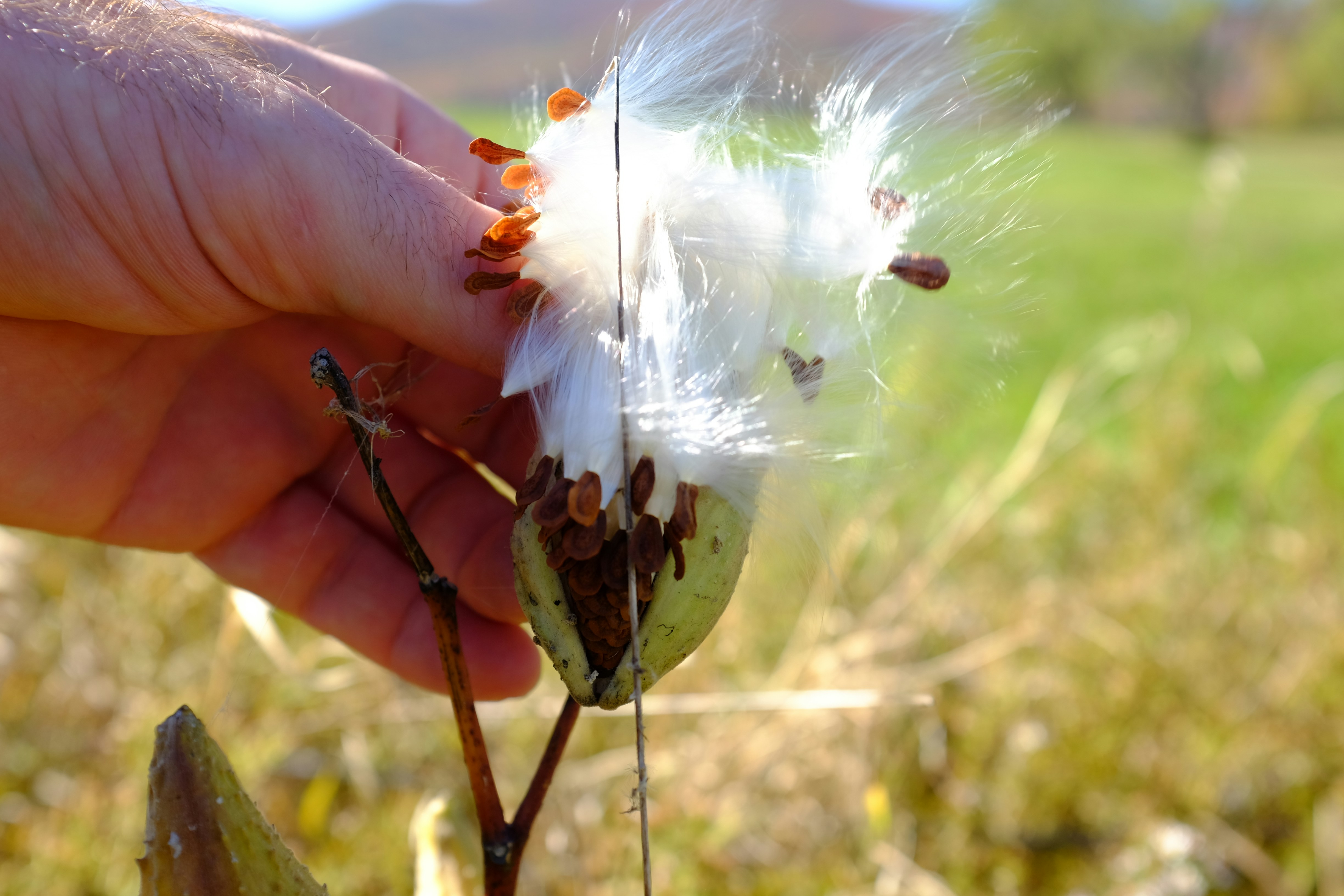 Free Unsplash photo from Adriana Valencia