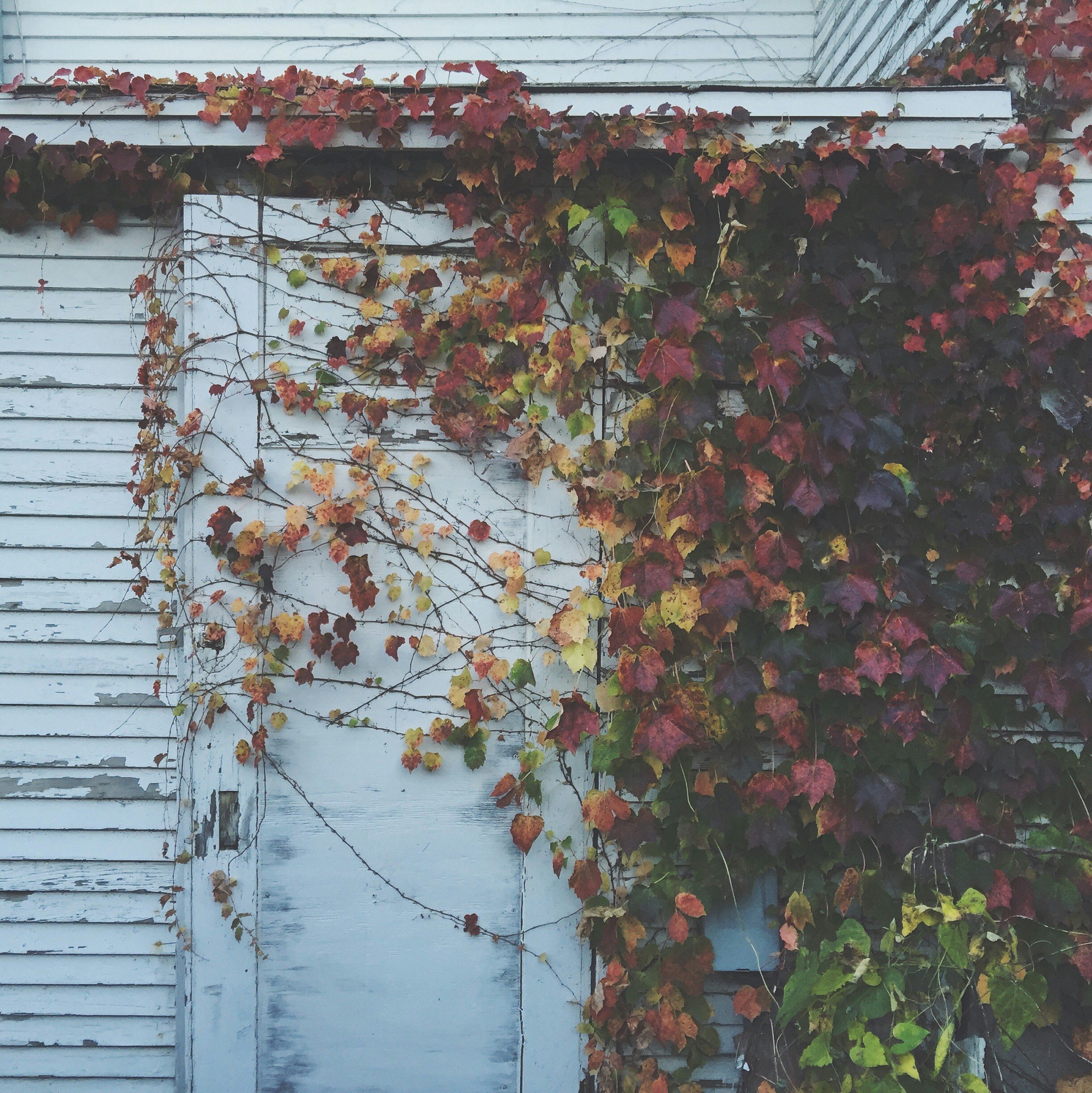 Free Unsplash photo from Ben DOWNING