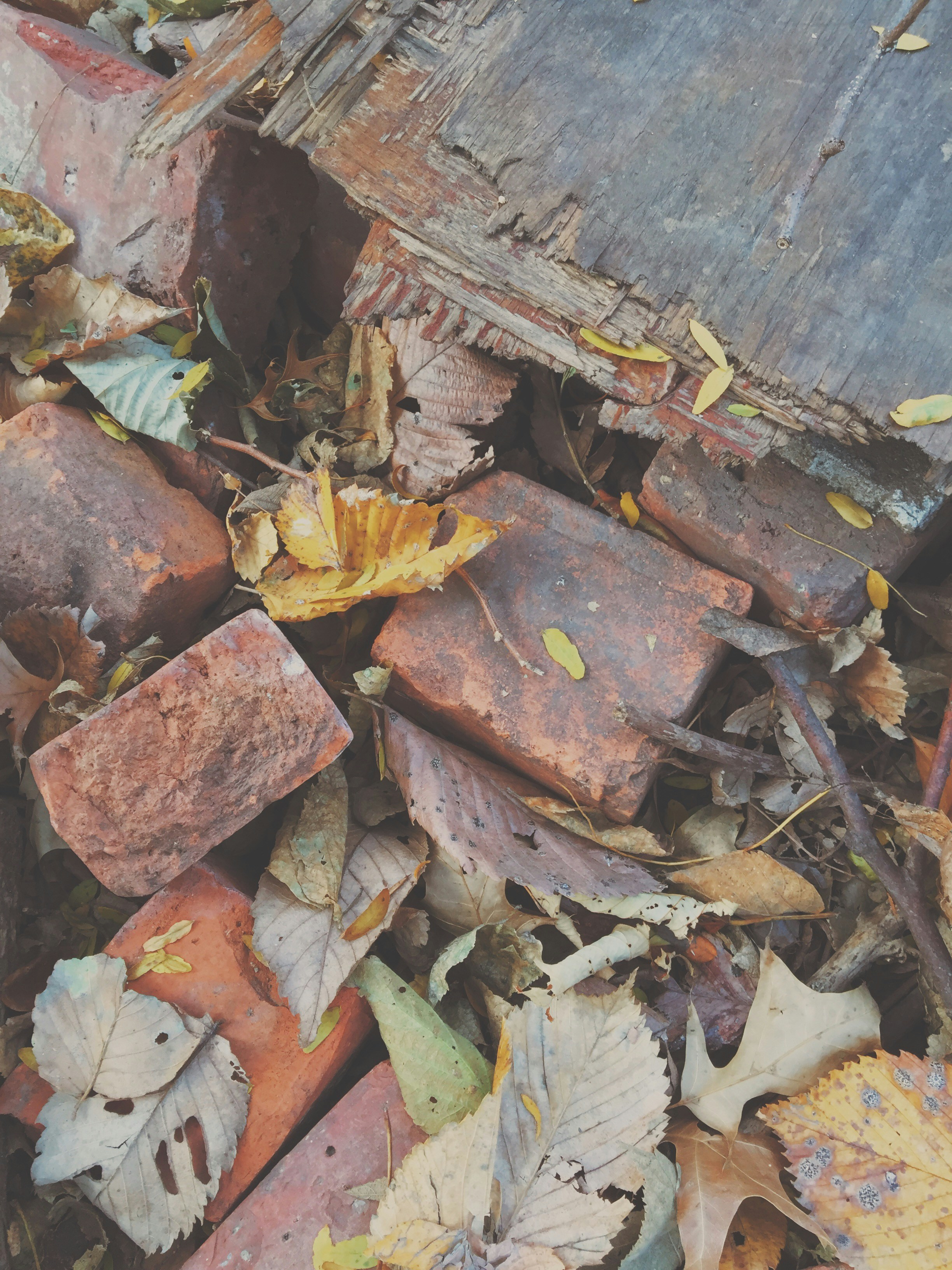 Free Unsplash photo from Ben DOWNING