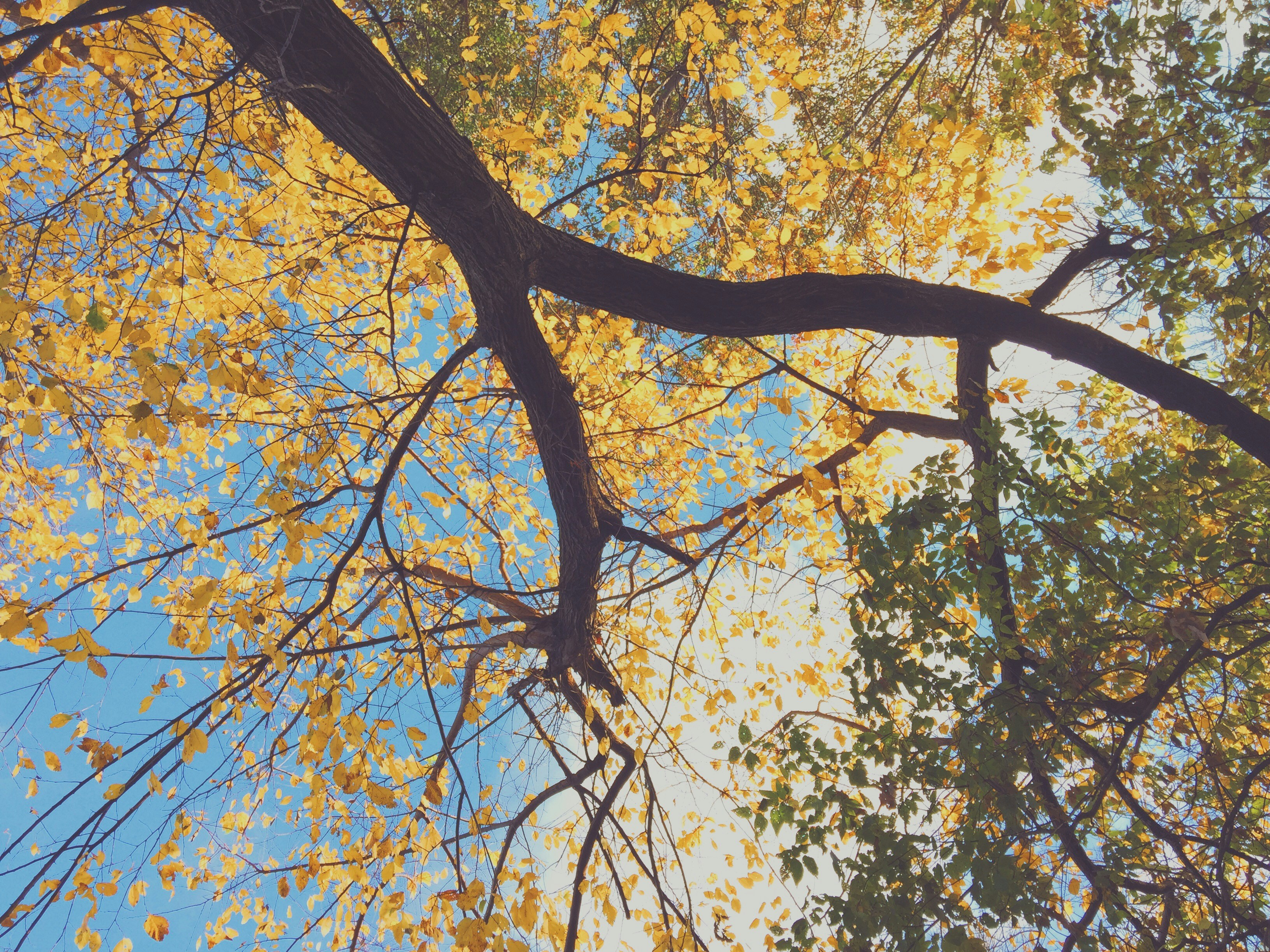 Free Unsplash photo from Ben DOWNING