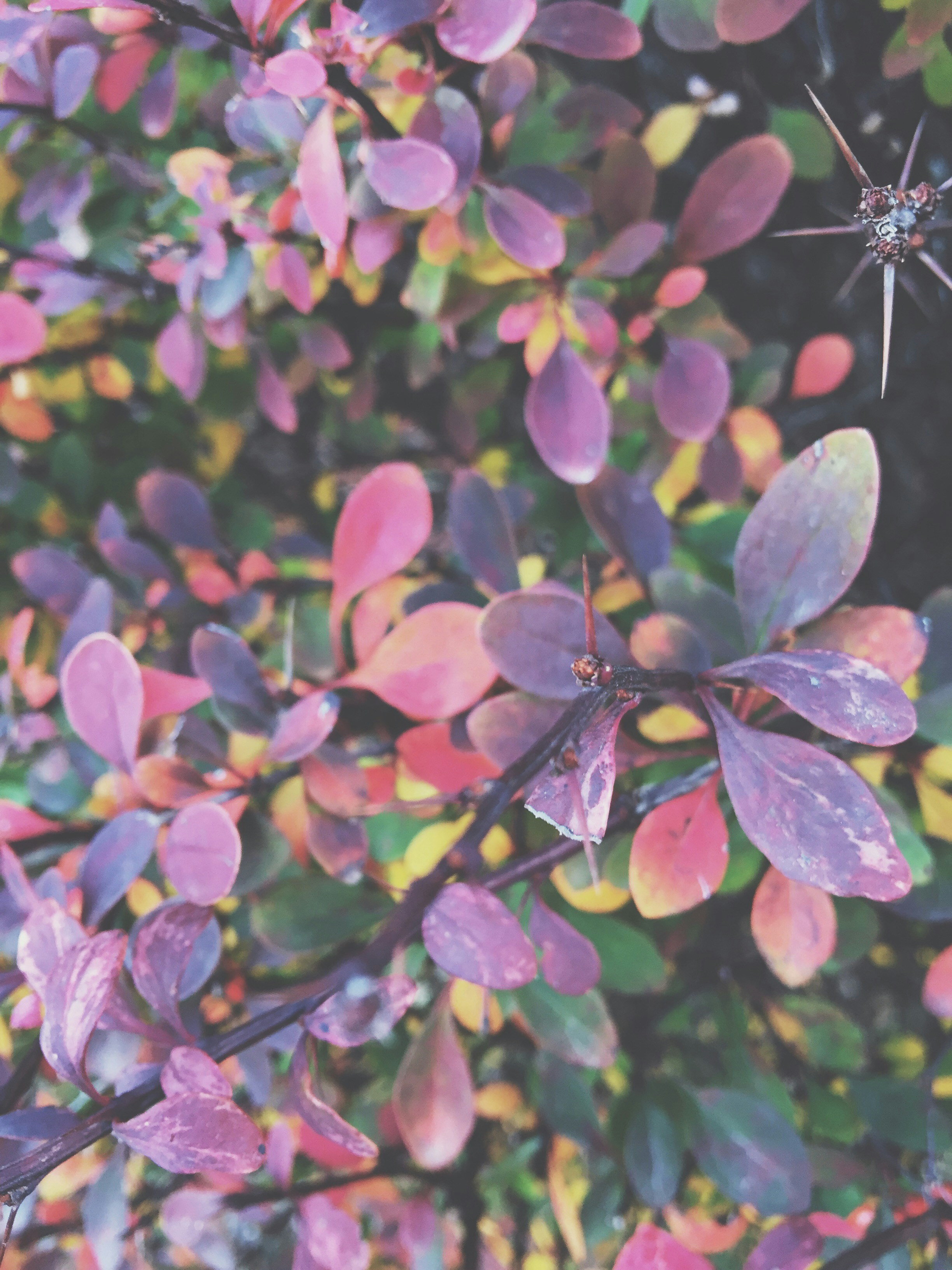 Free Unsplash photo from Ben DOWNING