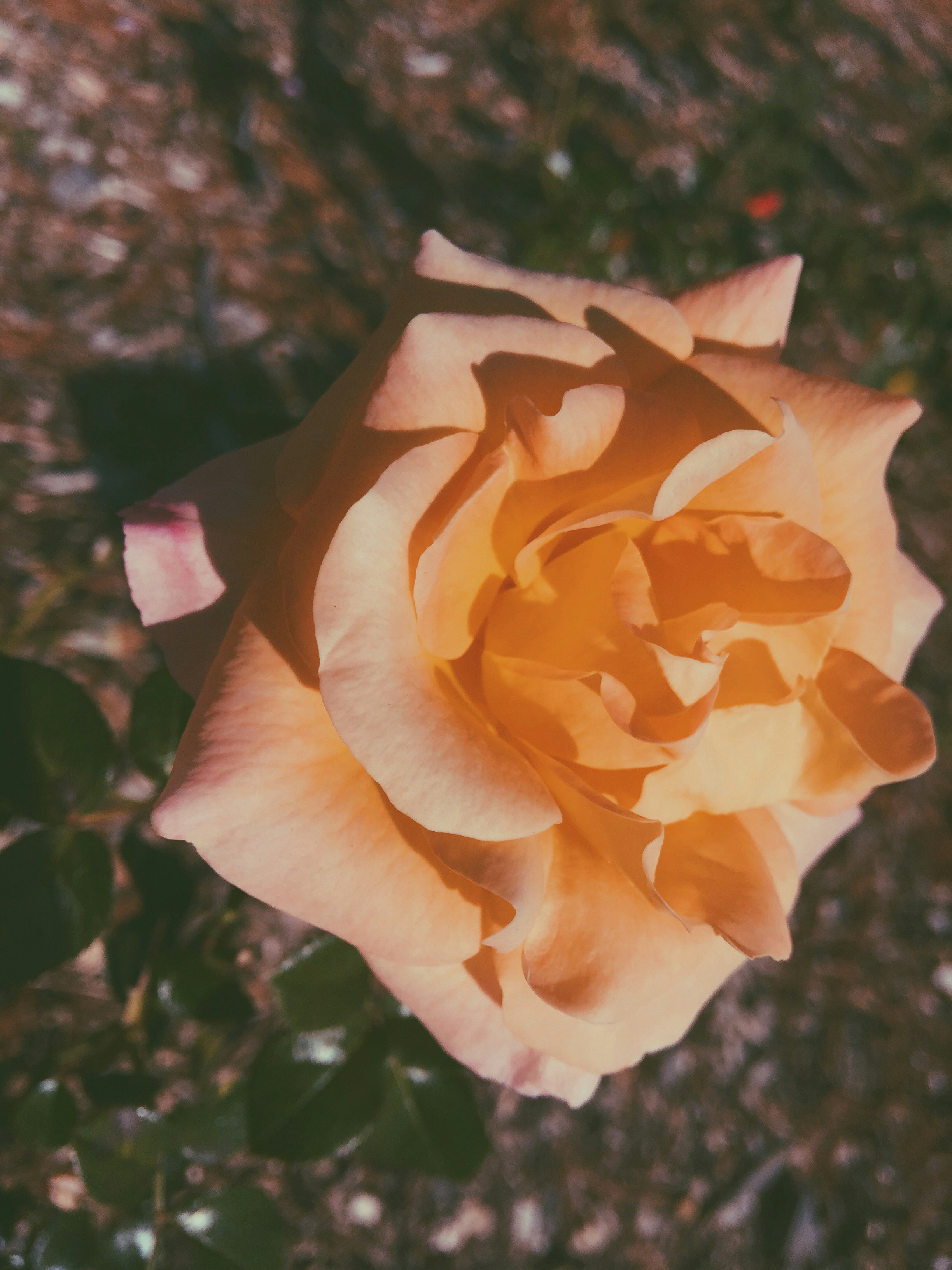 Free Unsplash photo from Ben DOWNING