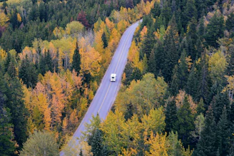 aerial view of vehicle traveling in road