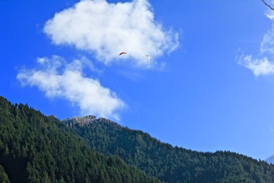 person using parachute nz google meet background