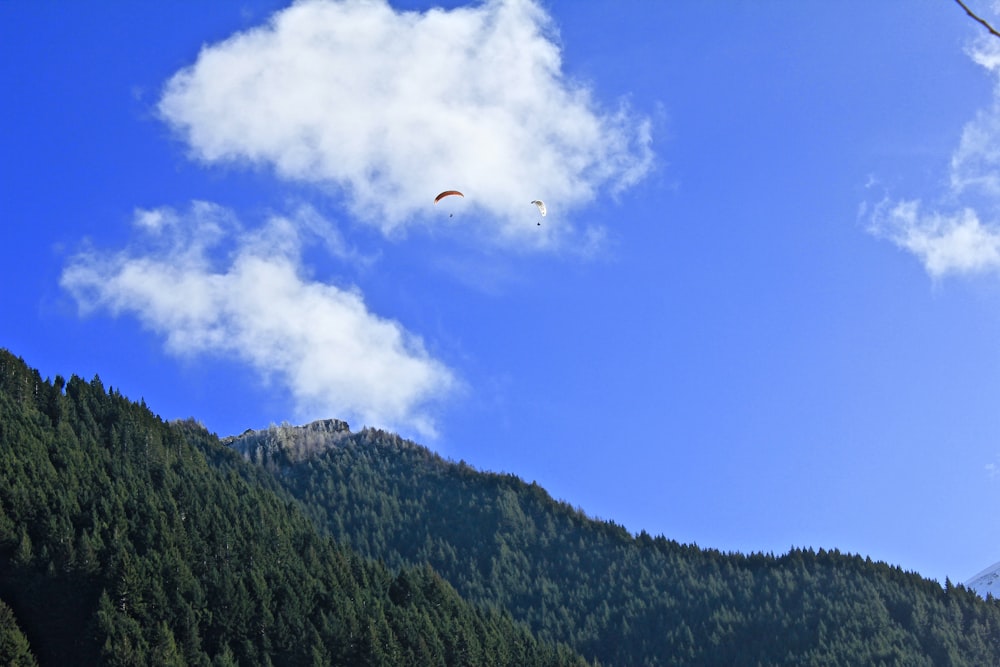 person using parachute