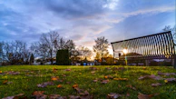 Golden hour light bathing a quiet park bench surrounded by autumn leaves.