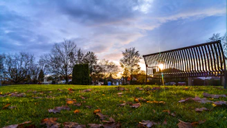 Golden hour light bathing a quiet park bench surrounded by autumn leaves.