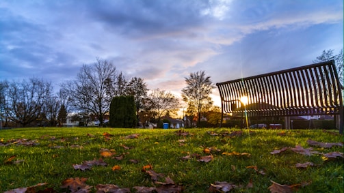 Golden hour light bathing a quiet park bench surrounded by autumn leaves.