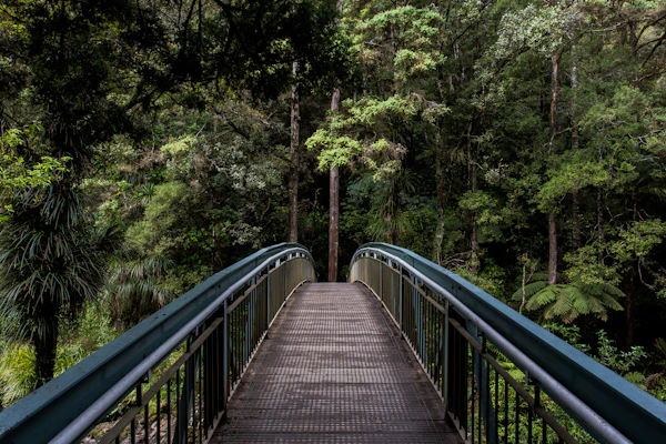 Aire puro y bienestar natural