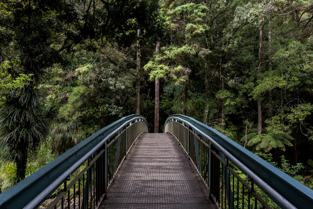 A quiet woodland path representing a well-planned, unhurried retirement