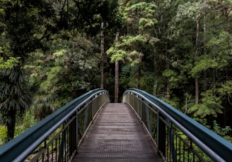 blue and brown steel bridge