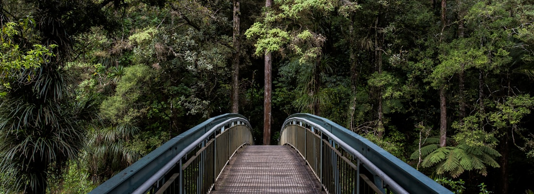 blue and brown steel bridge