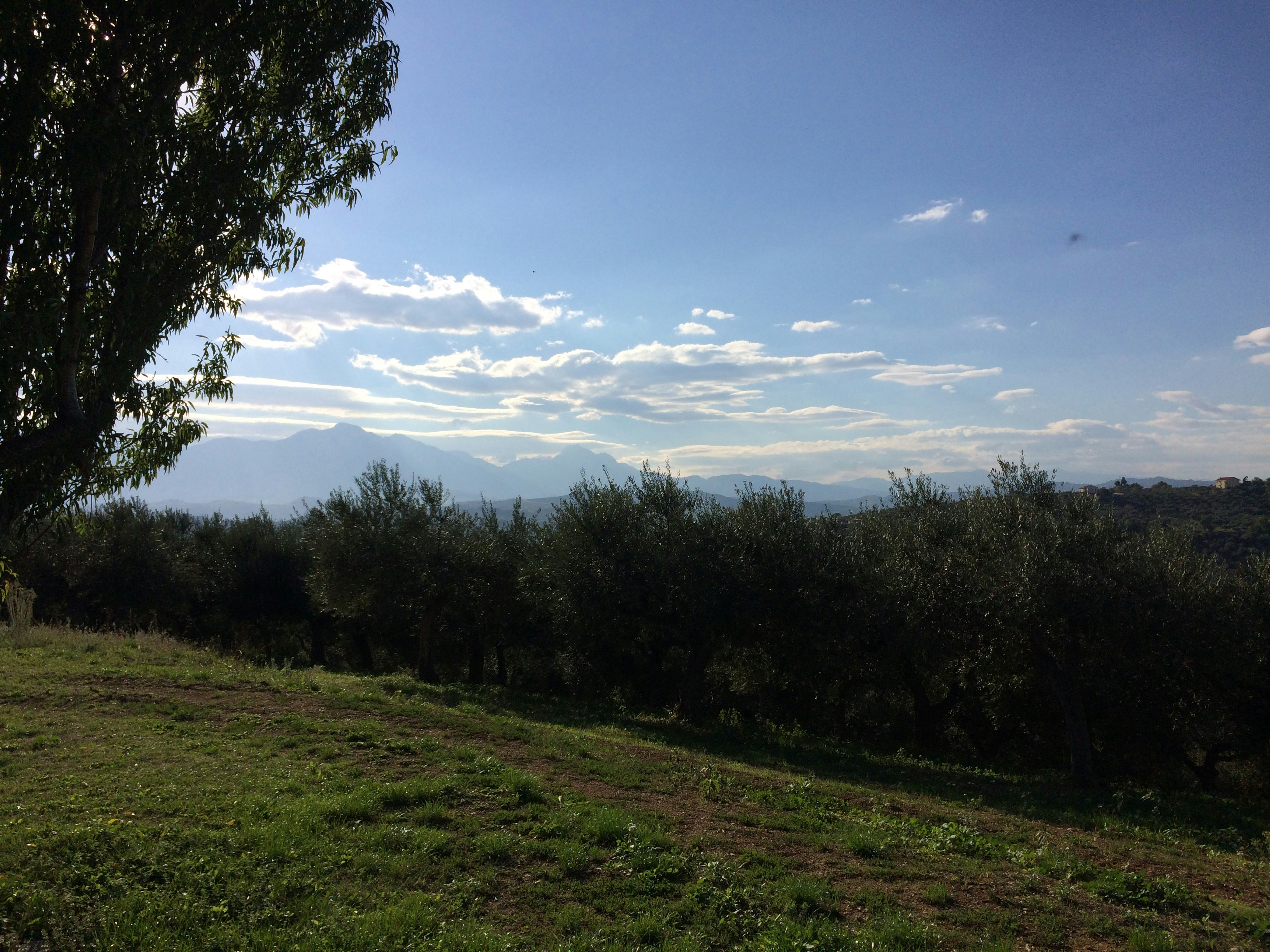 Free Unsplash photo from Fabio Di Marzio