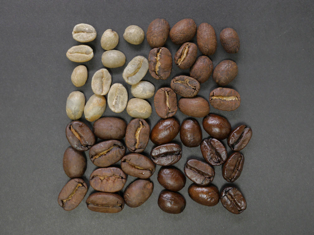 Macro of freshly roasted coffee beans, medium-dark with a slight sheen.