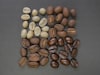 How To Roast My Coffee Beans