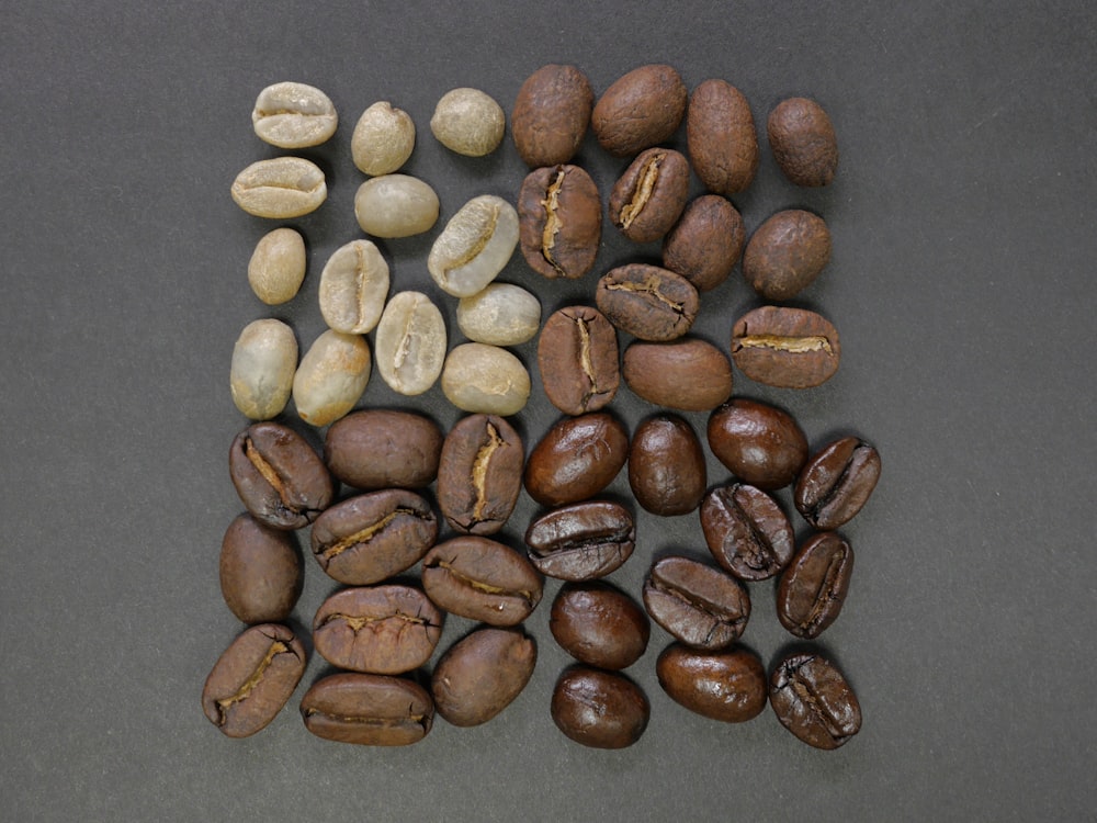 grãos de café marrom