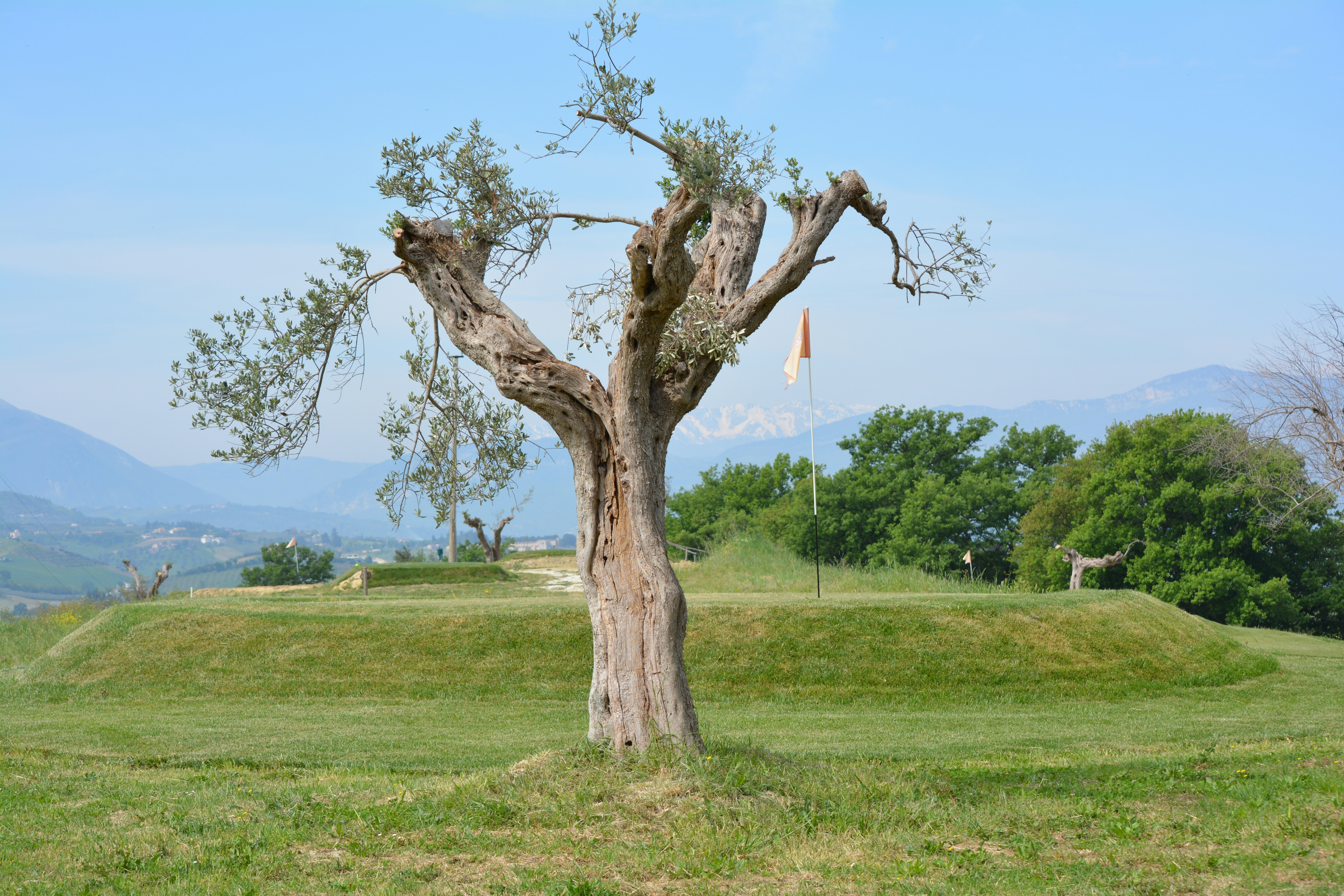 Free Unsplash photo from Fabio Di Marzio