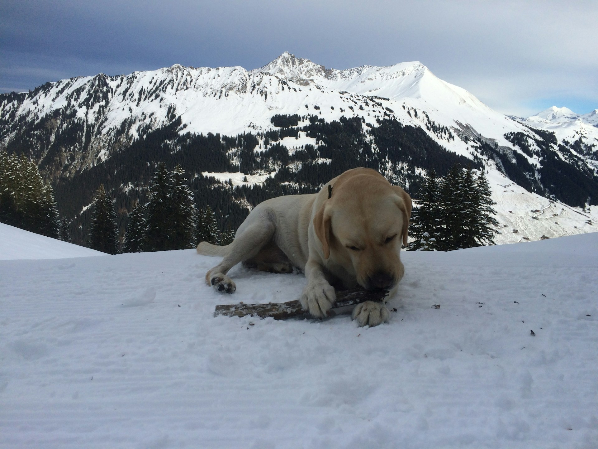 gray computer monitor