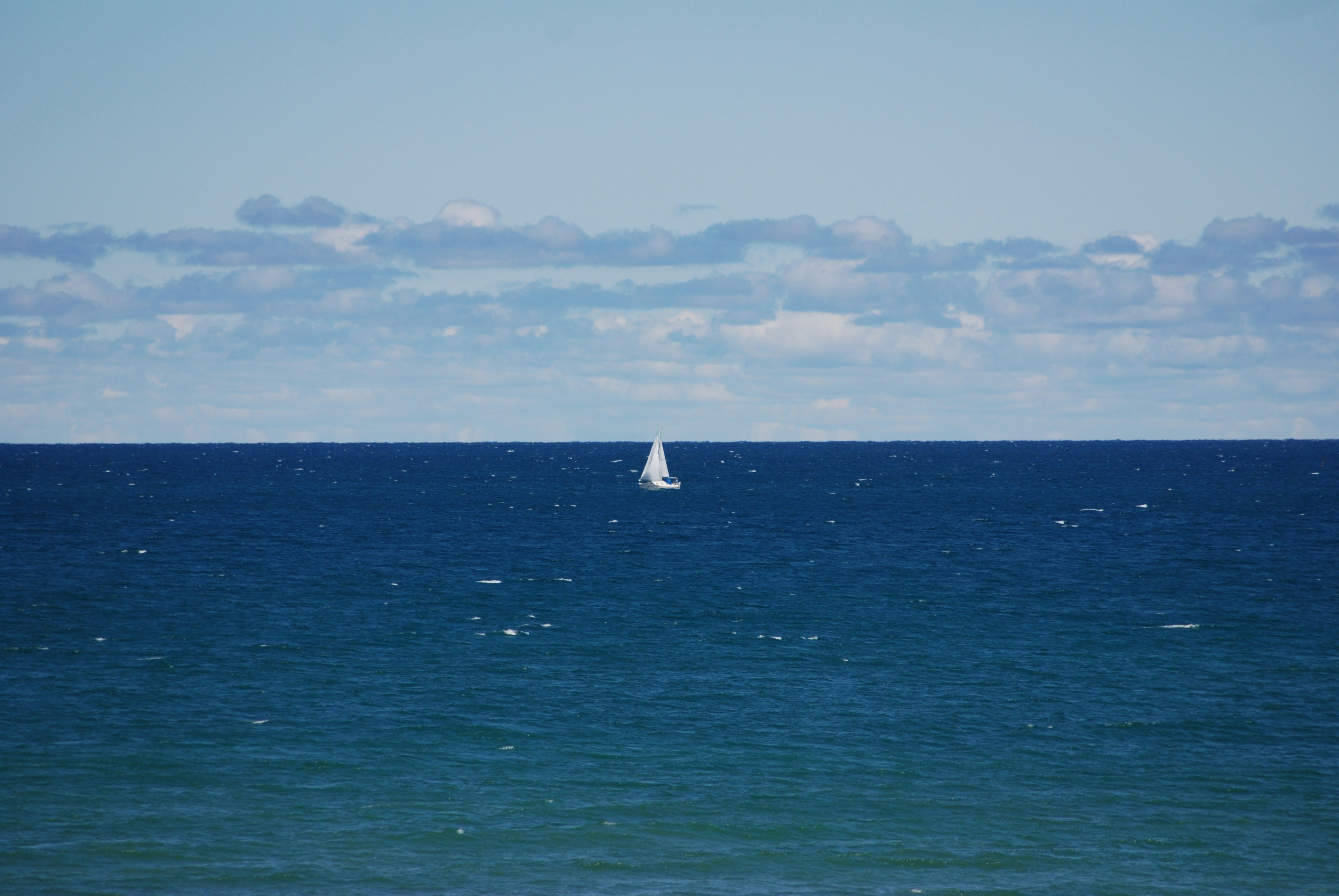 Free Unsplash photo from Jenny Fehn