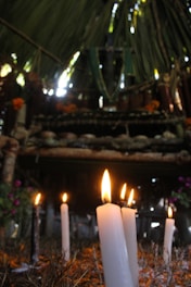 Several lit candles stand in the foreground with a rustic altar or shrine setting in the background, surrounded by various natural elements under a canopy of leaves.