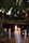 Several lit candles stand in the foreground with a rustic altar or shrine setting in the background, surrounded by various natural elements under a canopy of leaves.