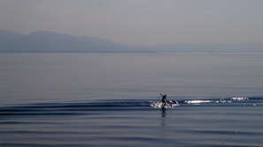An electric surfboard cutting through calm ocean water with a mountain backdrop under a bright blue sky.