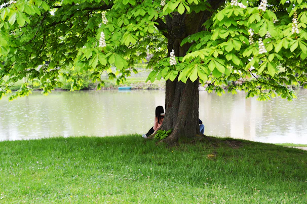 A serene outdoor scene with the person sitting thoughtfully under a large tree.