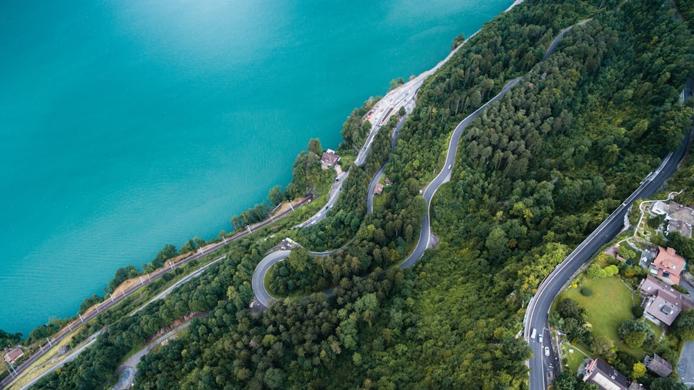 aerial photography of body of water near trees