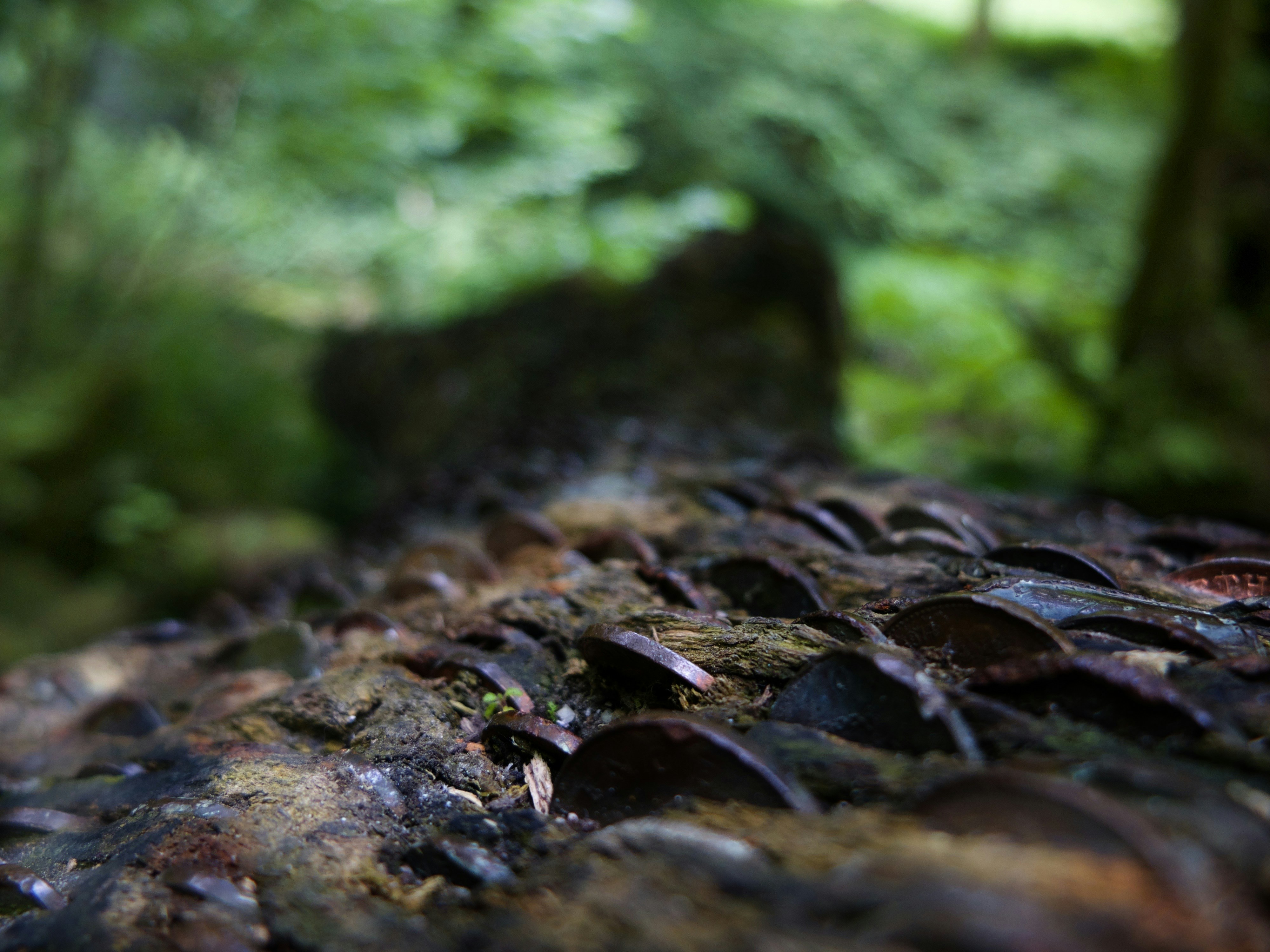 Free Unsplash photo from Matthew Walsh