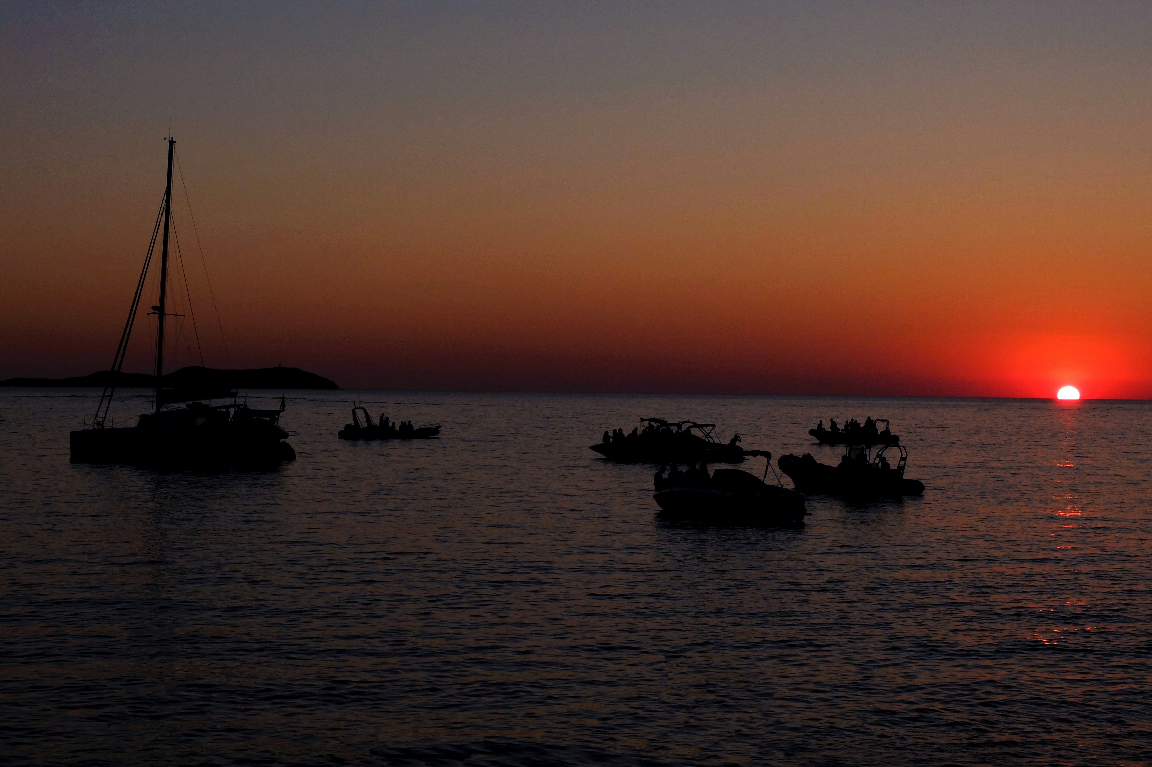 Free Unsplash photo from Matthew Walsh