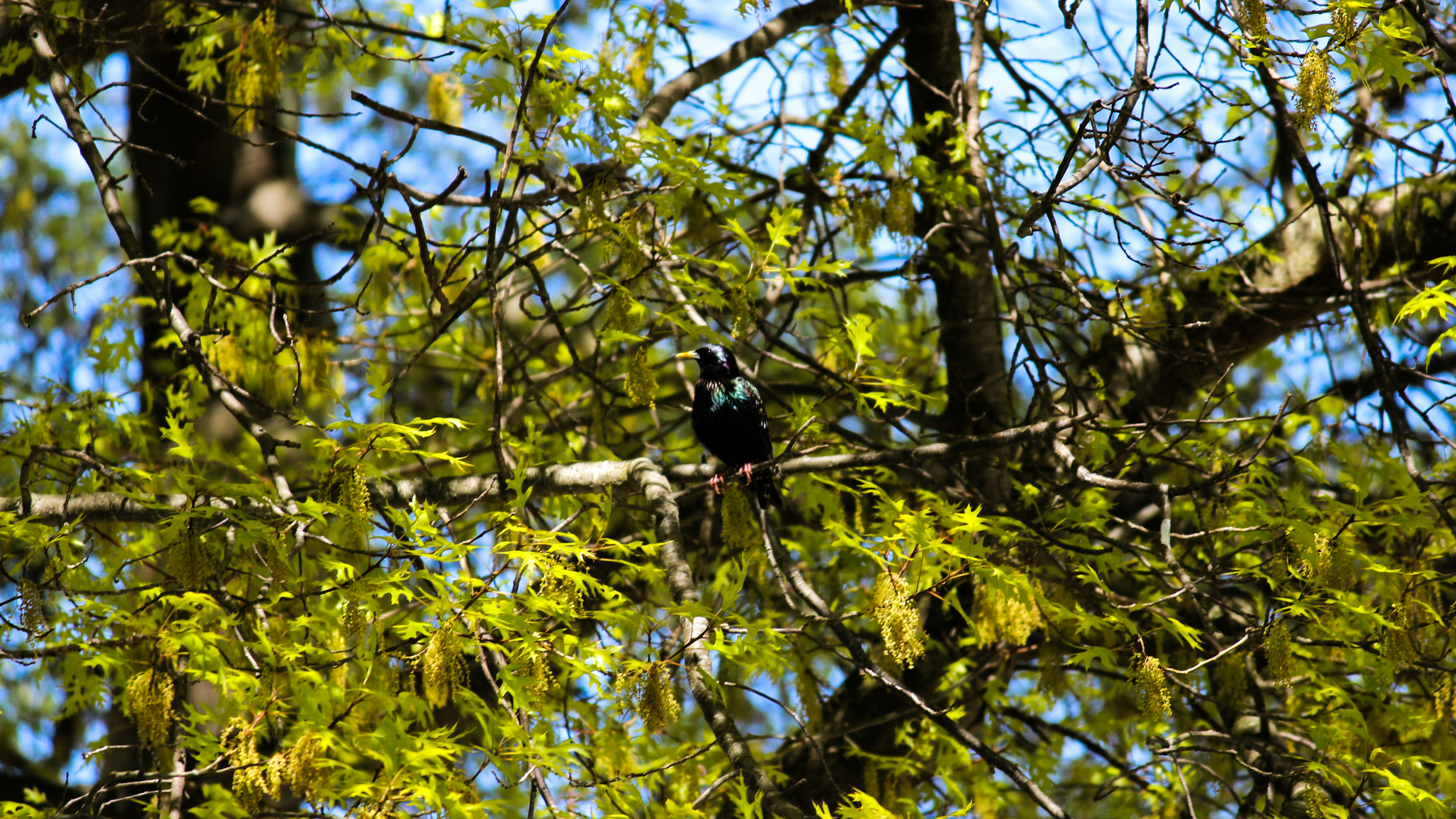 Free Unsplash photo from Jay Huygen-Gray