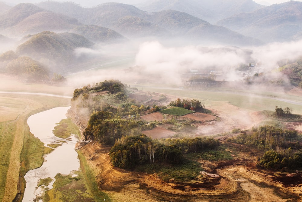 green trees cover with smoke