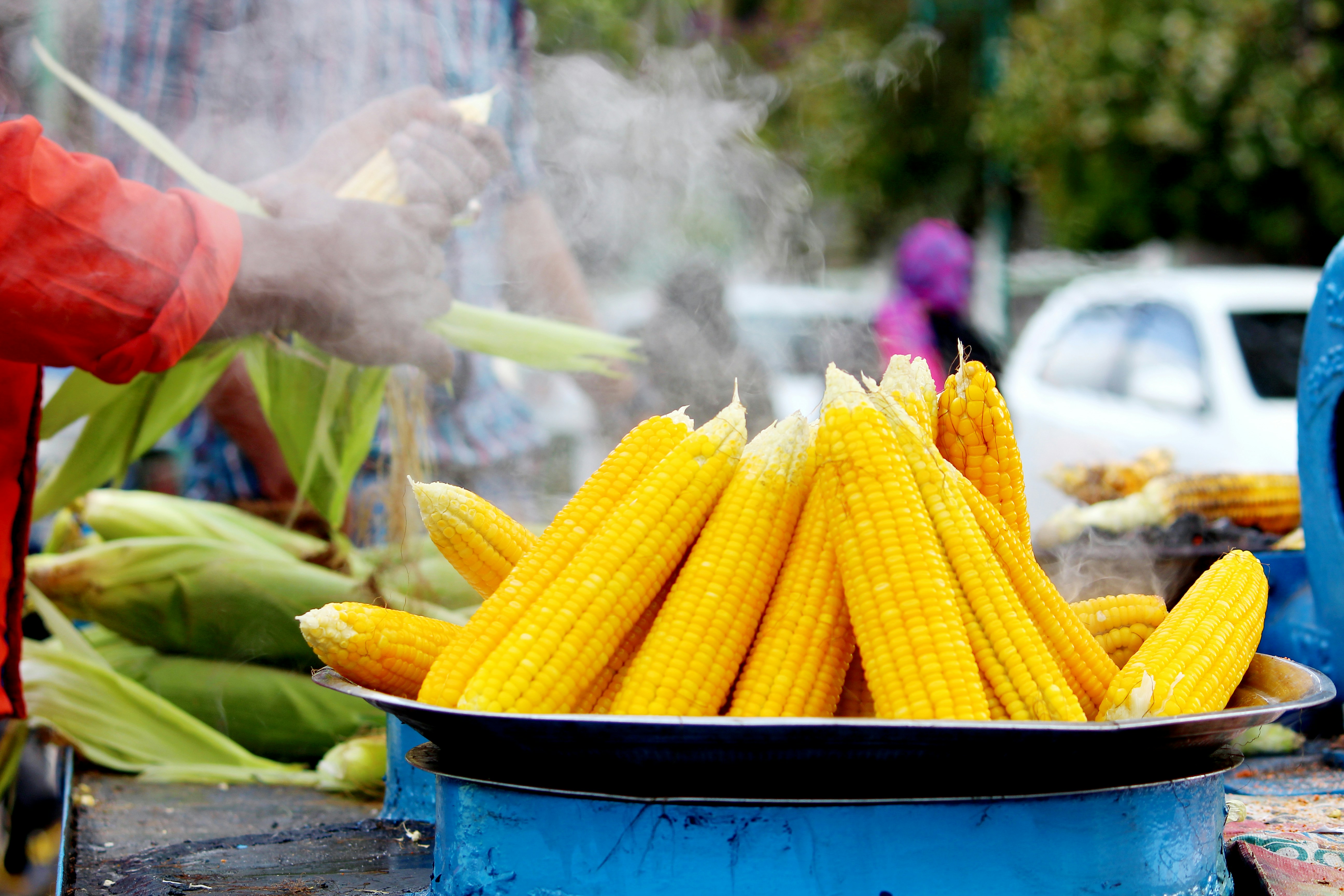 Free Unsplash photo from Nabeel Kondotty