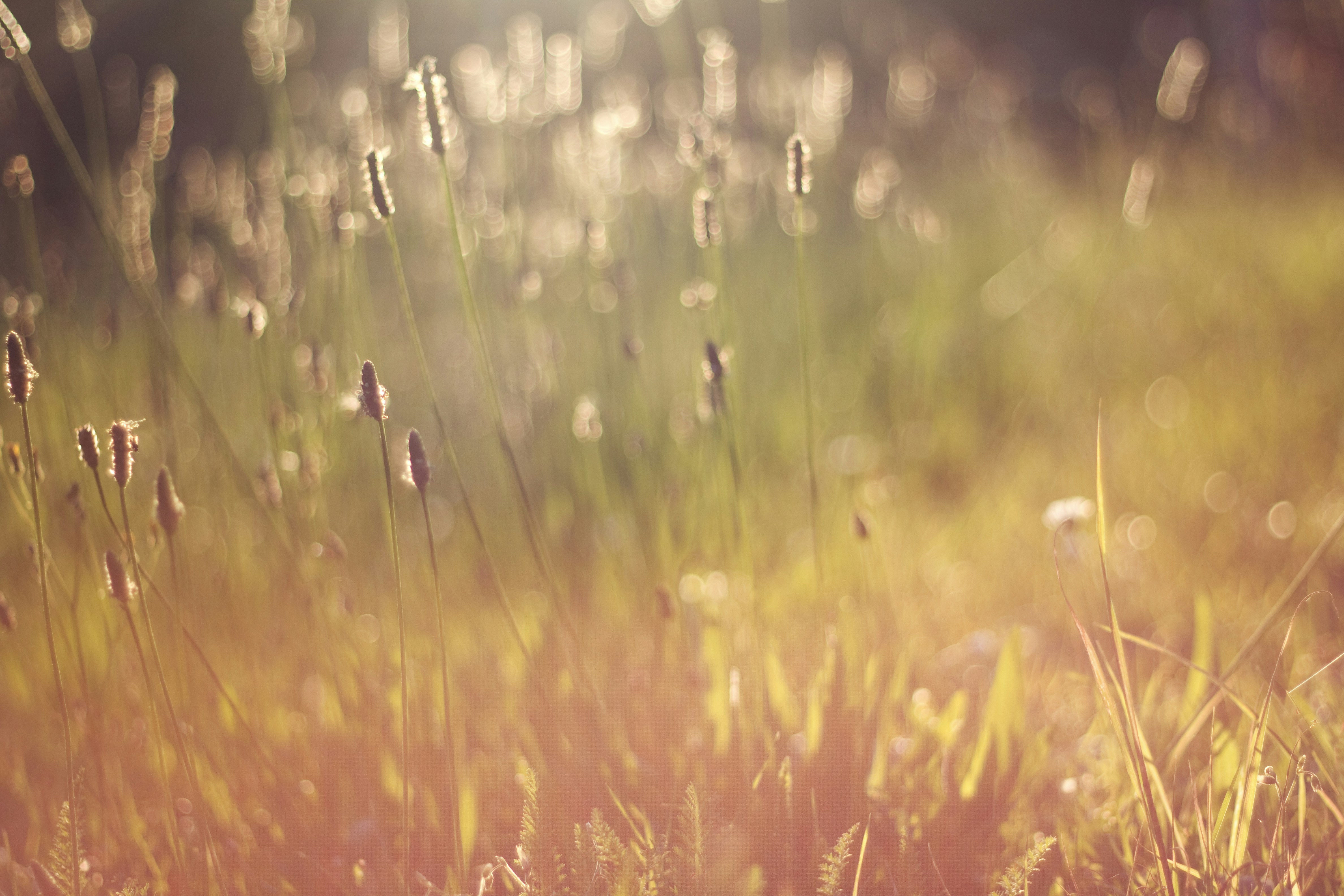 Free Unsplash photo from Farah Wagner