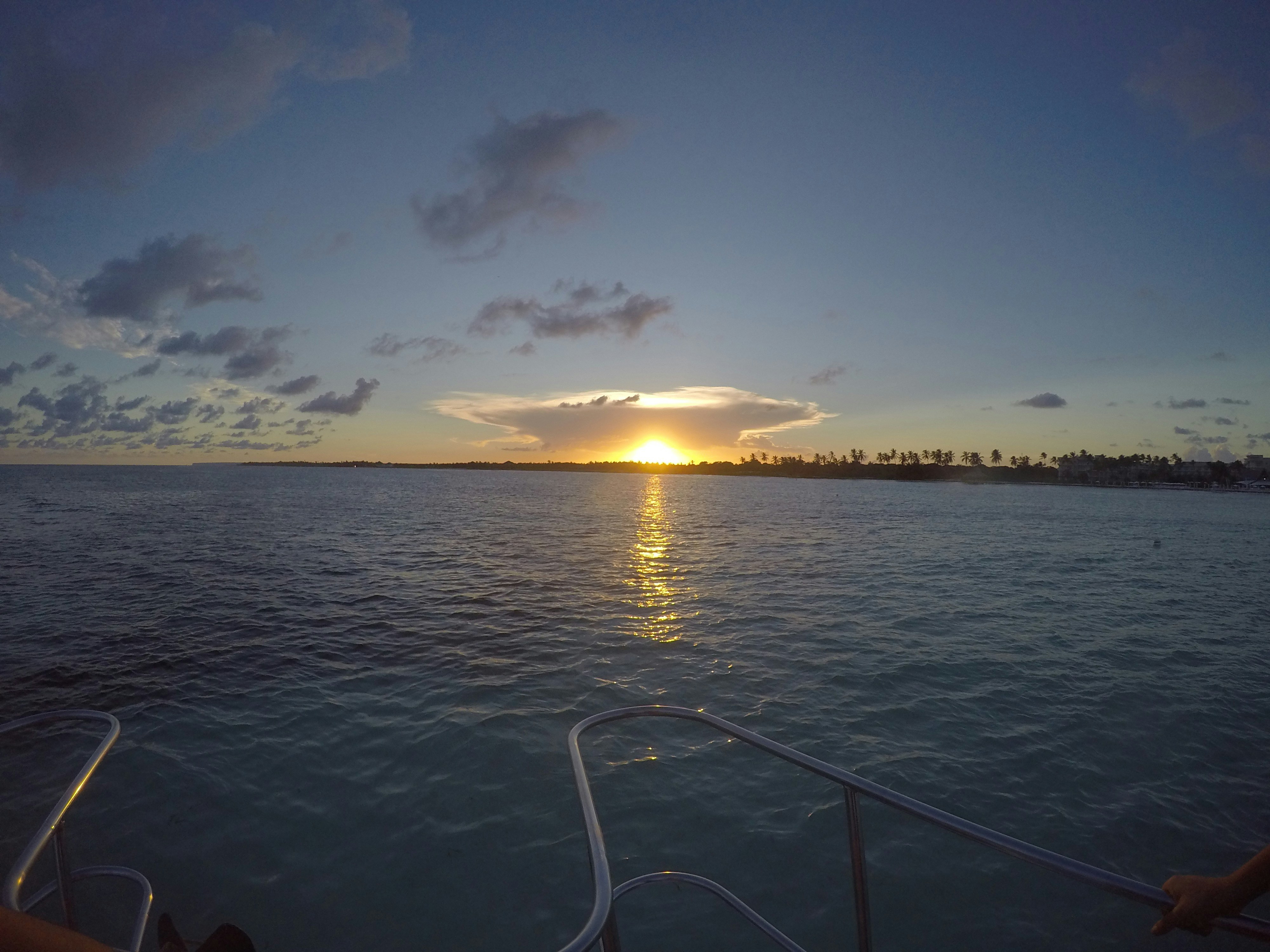 Free Unsplash photo from Gabriel Marte Fondeur