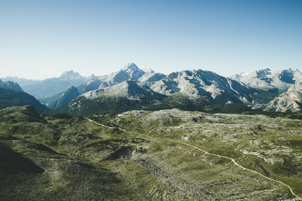 birds eye photography of forest