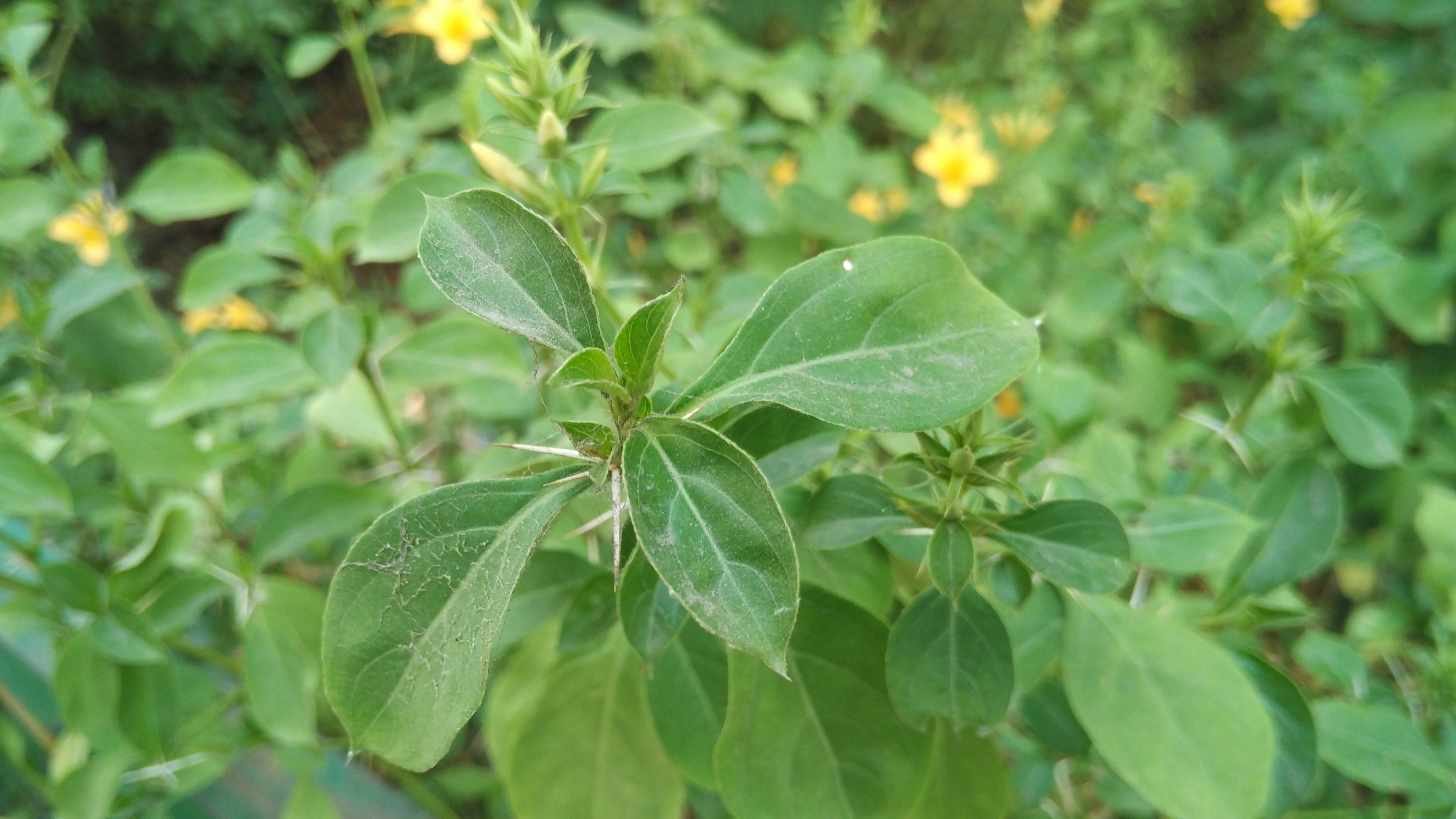 Free Unsplash photo from Arun Karnawat