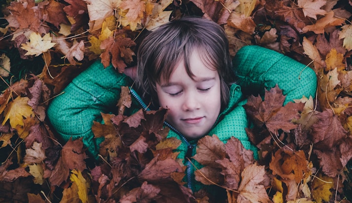 closed eye boy laying on brown maple leaves