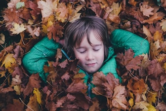 closed eye boy laying on brown maple leaves