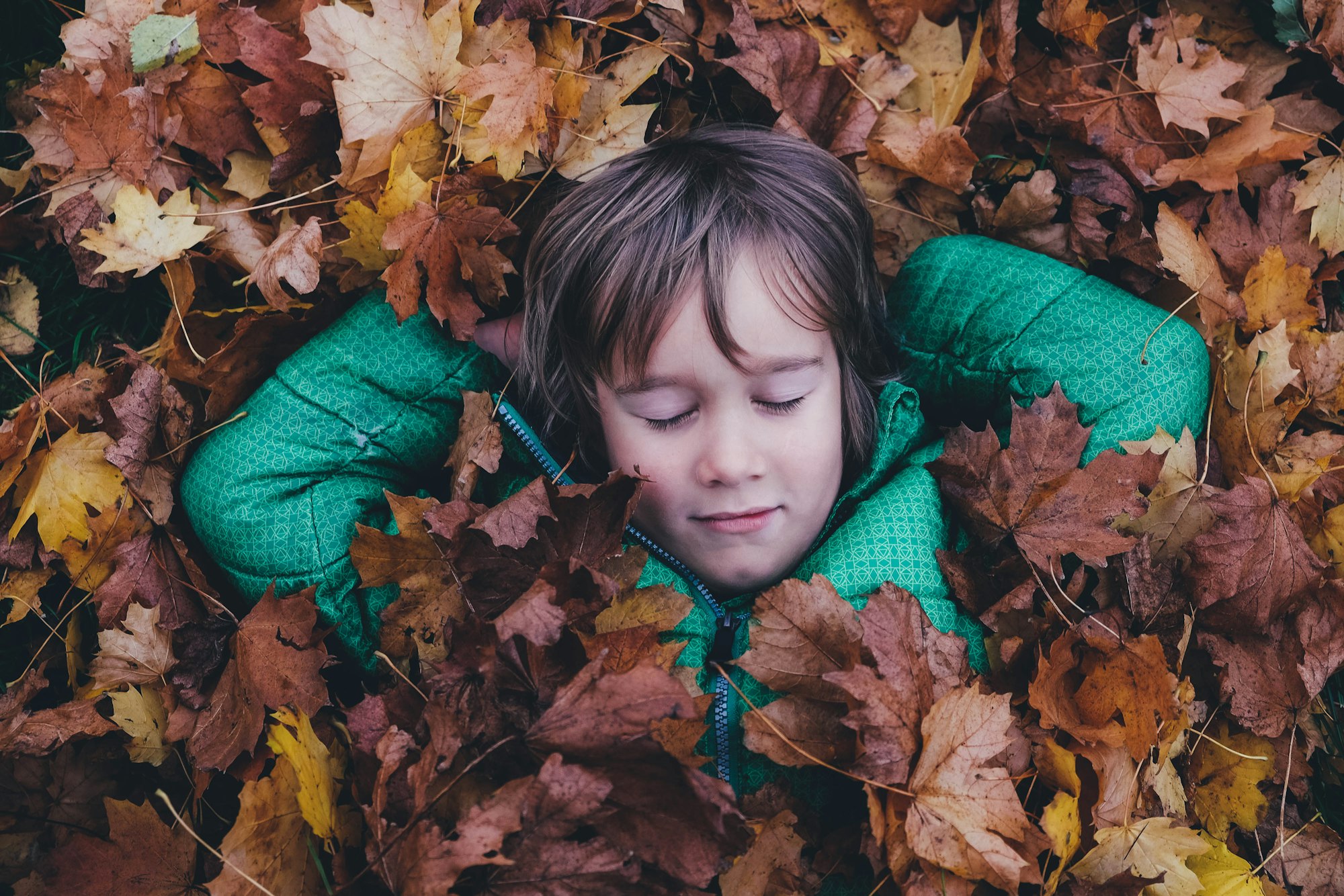 Boy under a leaf blanket