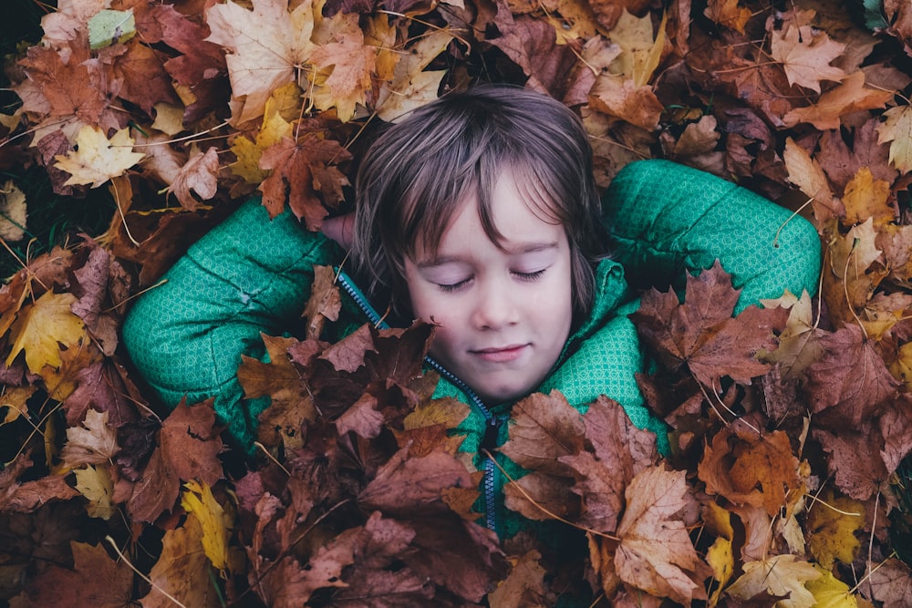 closed eye boy laying on brown maple leaves