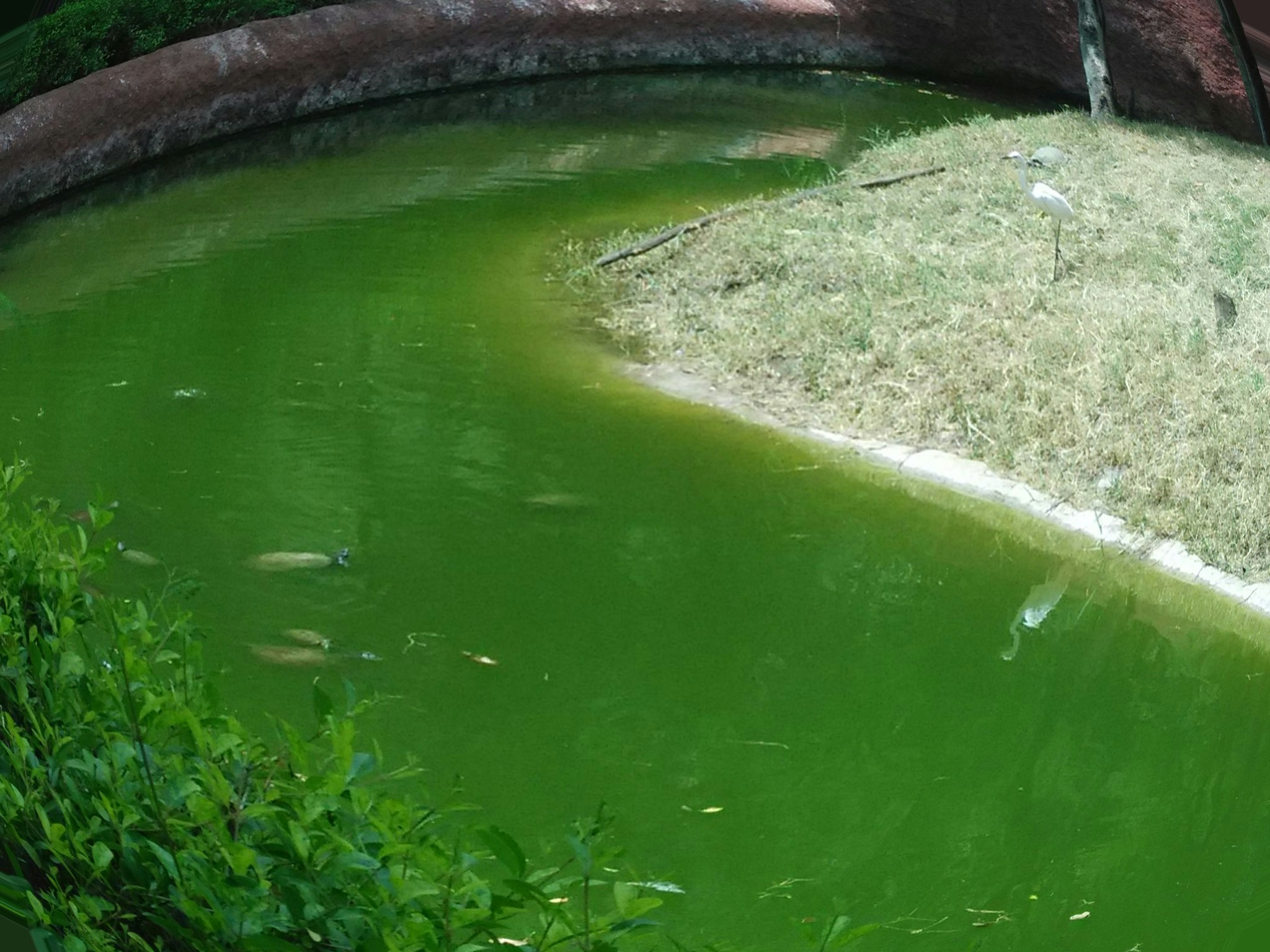 Free Unsplash photo from sai kumar