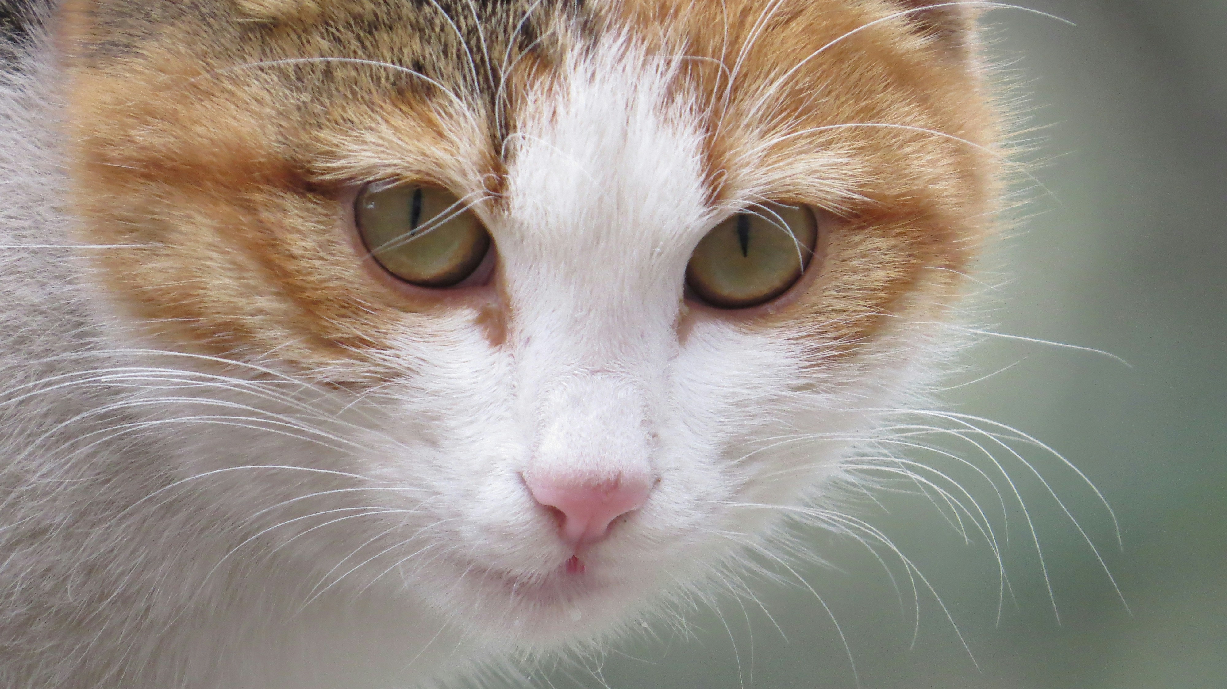 Free Unsplash photo from Burak G