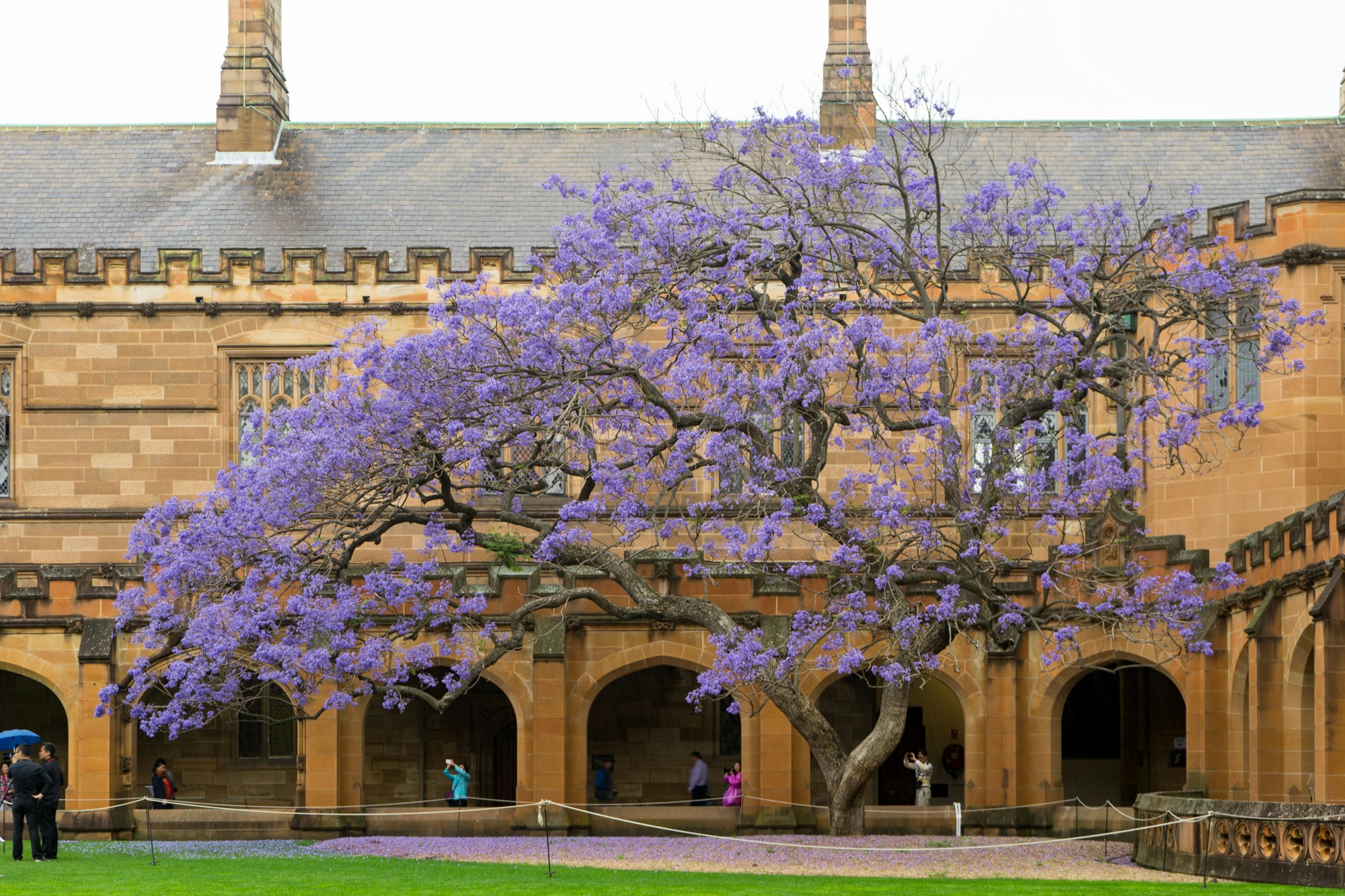 Free Unsplash photo from Samuel Ip