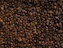 coffee bean lot