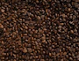 coffee bean lot