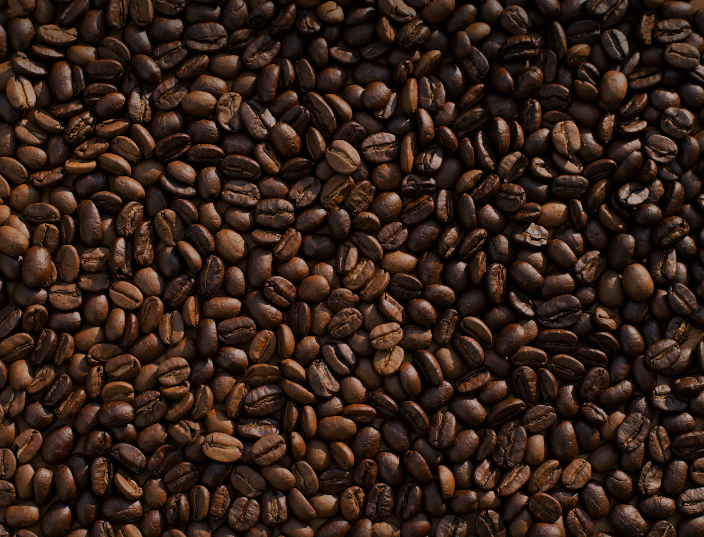 Brazilian Arabica: One Bean, Nothing Hidden