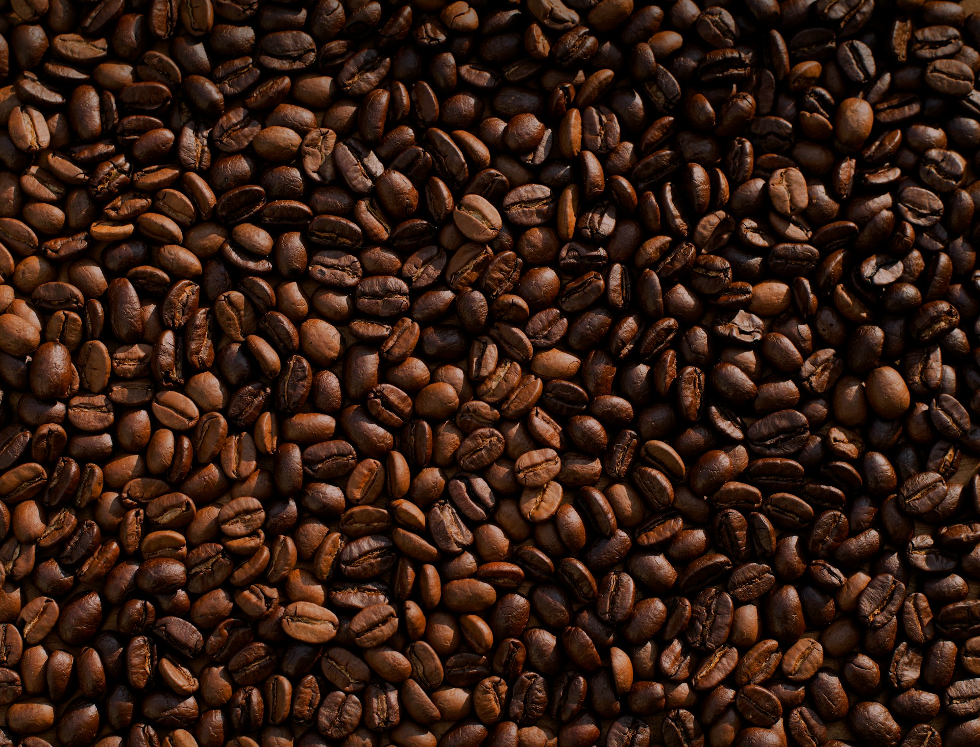 Which State Grows Their Own Coffee Beans?
