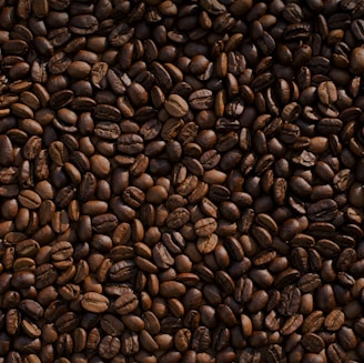 coffee bean lot